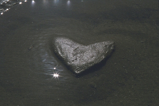 31 ���Heart work��� photo 1998. North Sea beach